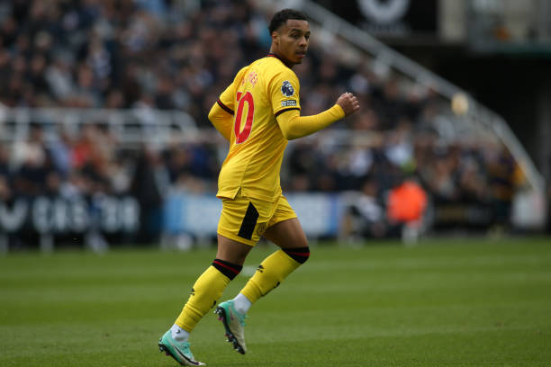 以及临近终 以及临近终