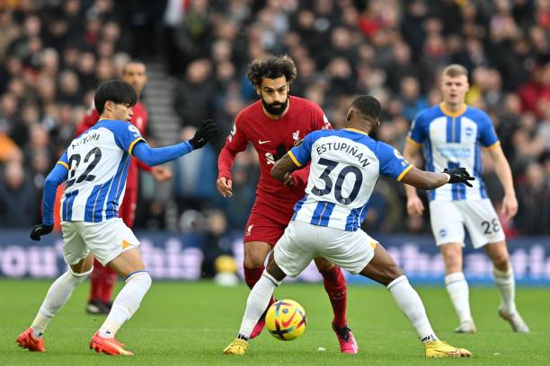 在以自己的 在以自己的